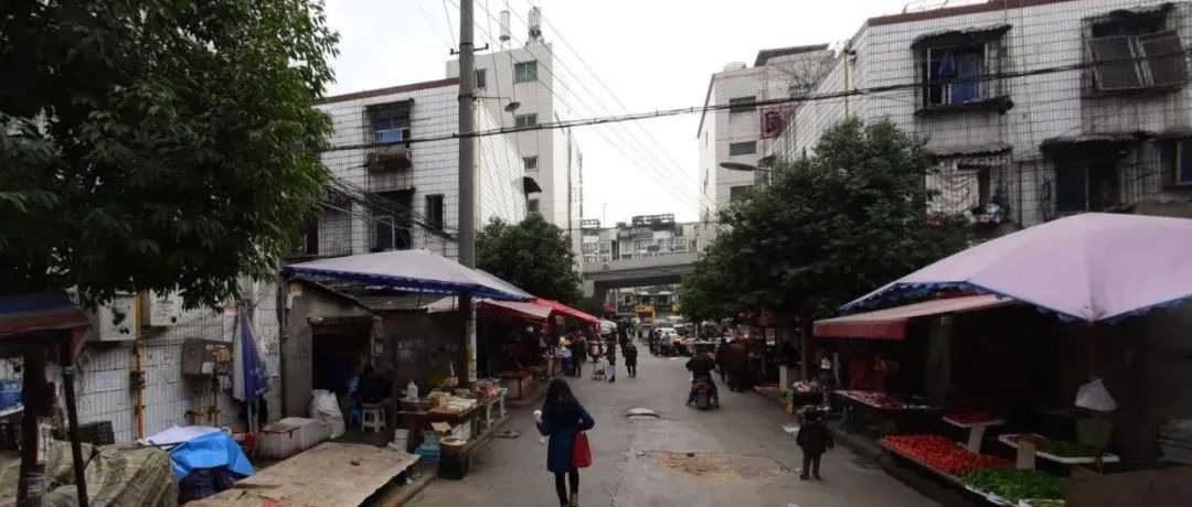城市有机更新②｜武侯、金牛，这些地方要拆！