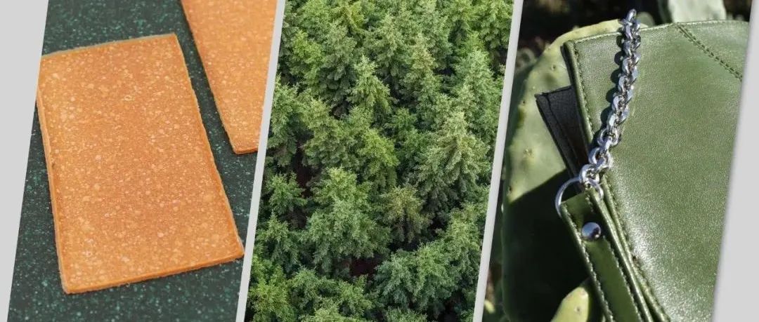 环保设计理念在全球备受关注，材料与产品应用的融合是重点！
