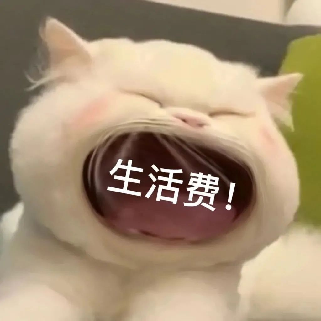 大嘴猫表情包 | 要生活费专用！