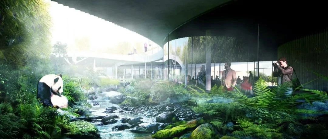 建筑师如何为动物盖房子？