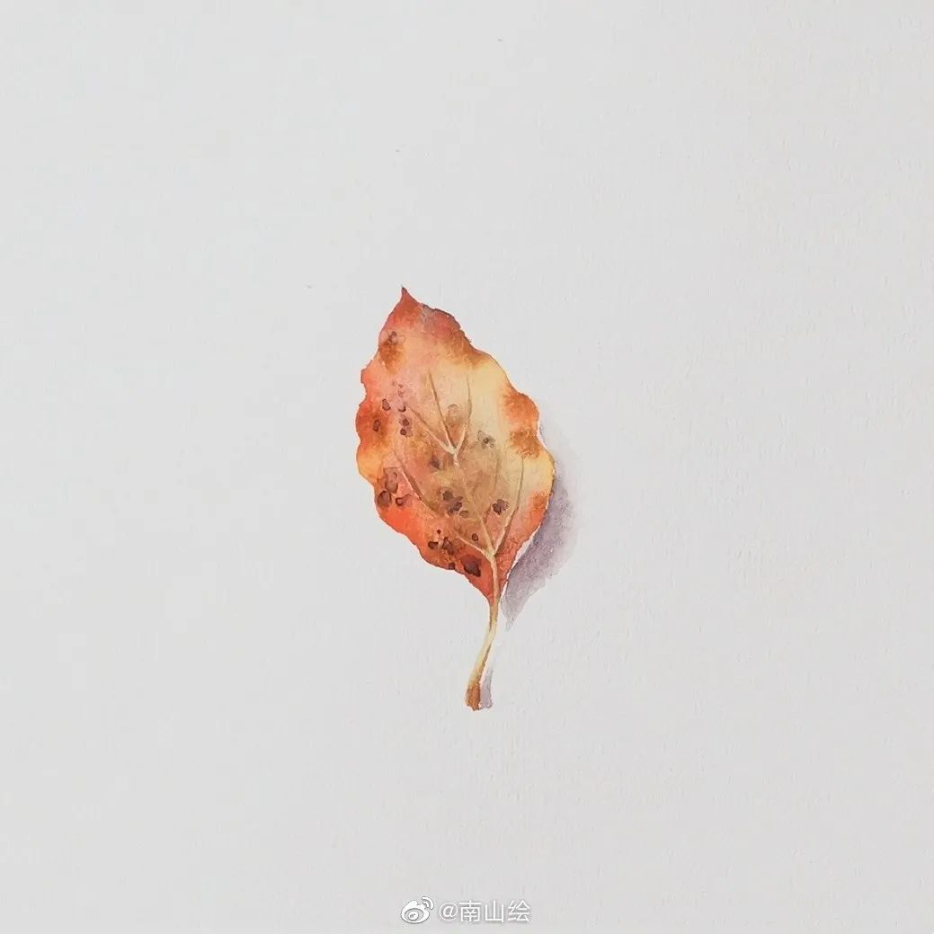 落叶作者:南山绘水彩绘画作品欣赏