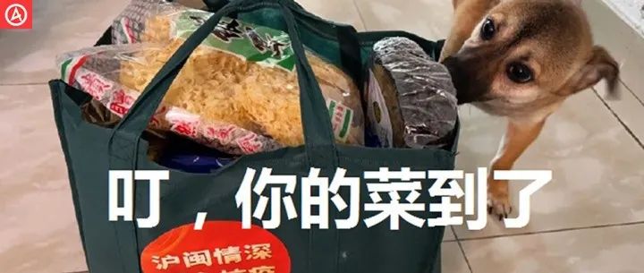 太卷了！上海团长，简直是在逃广告人
