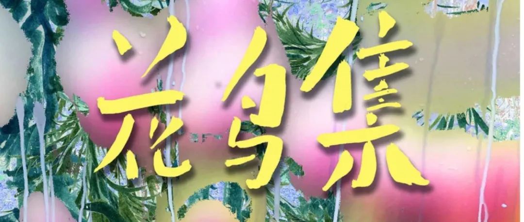 花鸟集2021终极图录大赏
