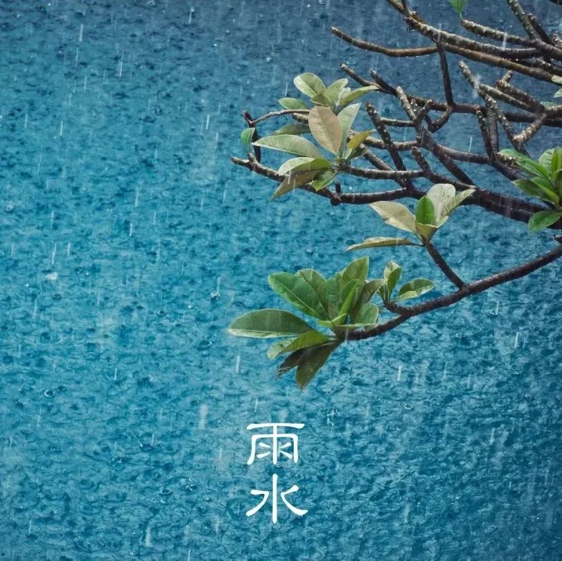 雨水 | 好雨知时节，当春乃发生