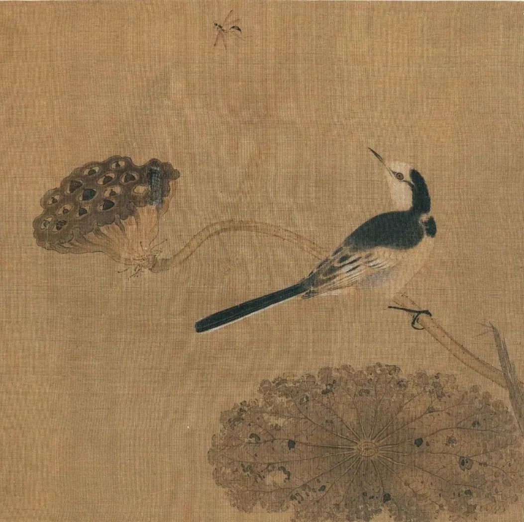 宋代画家马兴祖花鸟画《疏荷沙鸟图》赏析|古代名家高清大图欣赏