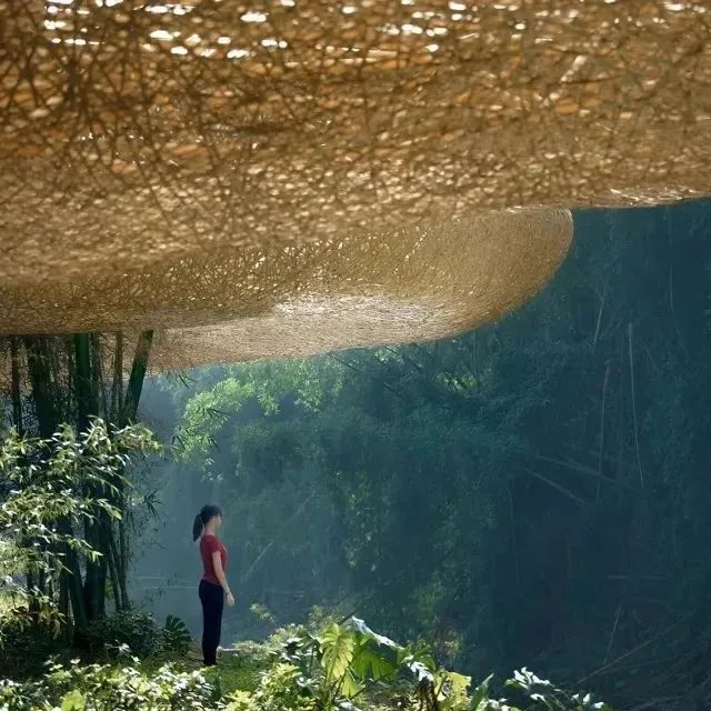 Dezeen Awards｜llLab叙向建筑设计的竹林亭台楼阁获最佳小型建筑