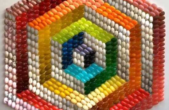 富有秩序的“艺术作品”（三）