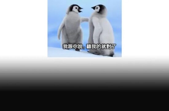 “不要黑人，要大胸！”腾讯卷入国外zzzq争议
