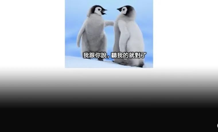 “不要黑人，要大胸！”腾讯卷入国外zzzq争议