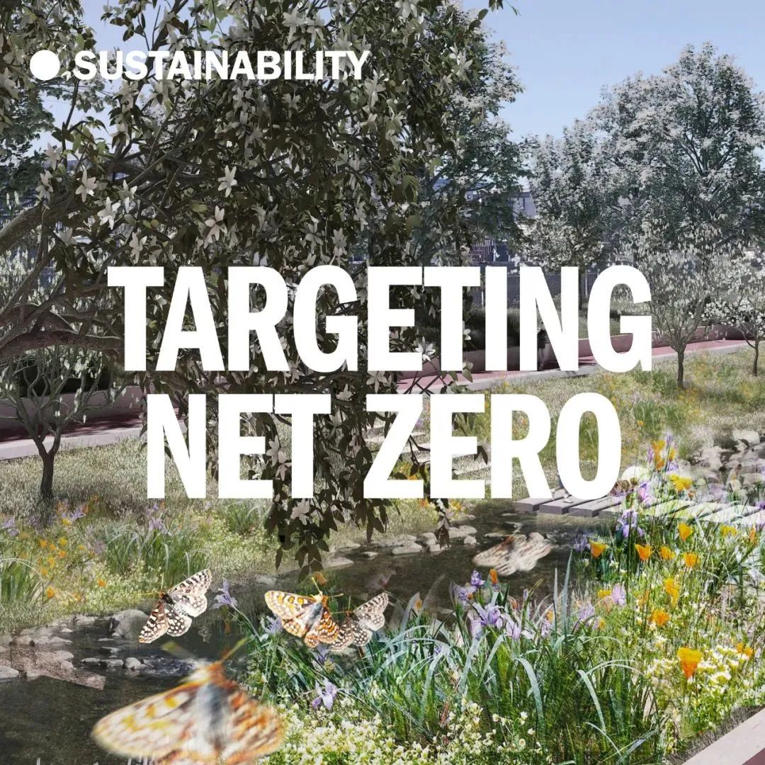 Targeting net zero - Hassell sustainability commitments