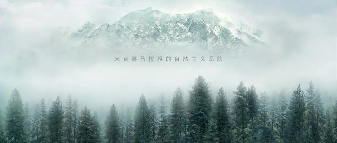 一款抗衰老化妆品背后的20年