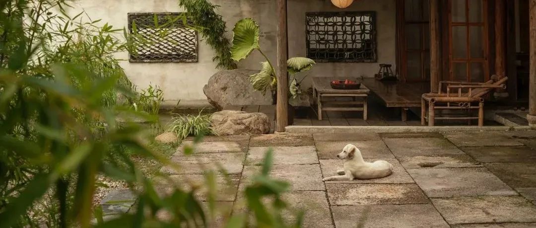 余生有个小院，足矣。