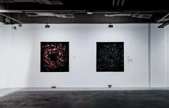 爱丽丝·安德森、李青和特西奇与米尔参展2022北京双年展｜AR艺术家