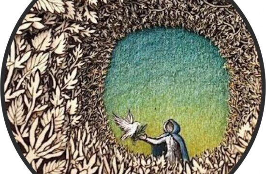 手作插画丨与传统书封不同，她以雕刻绘画神秘森林之景，唤醒童年回忆