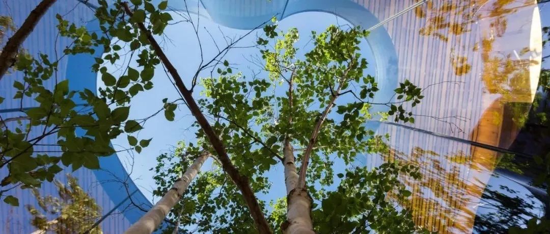 广州新添打卡建筑——无限极总部;2021年建筑摄影奖公布入围名单 | 观·察