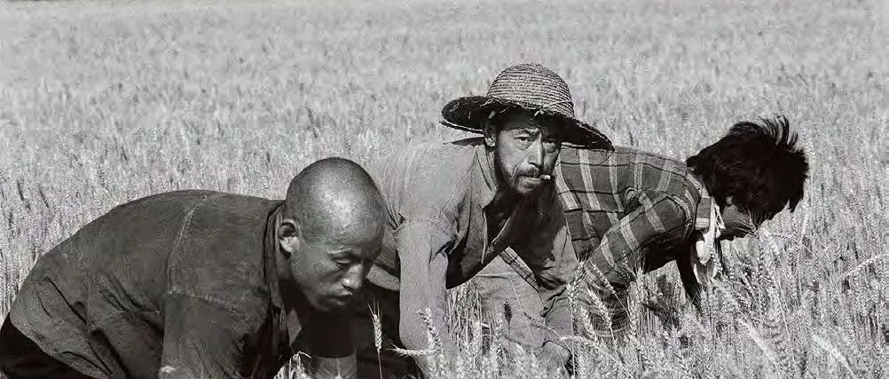 侯登科：根植于土地的史诗意识