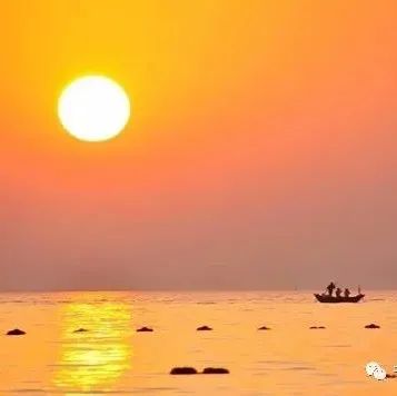 一叶青荷：故乡的夕照