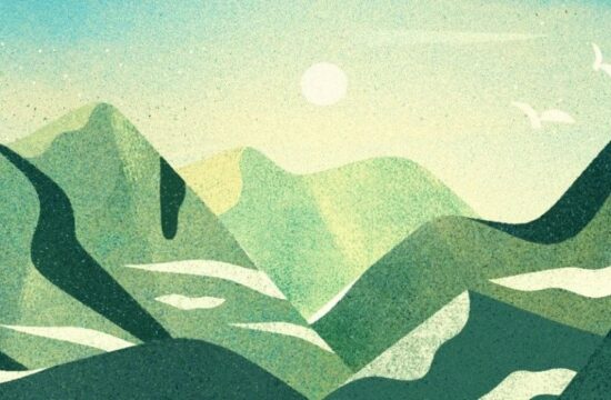 behance插画 | 细腻治愈