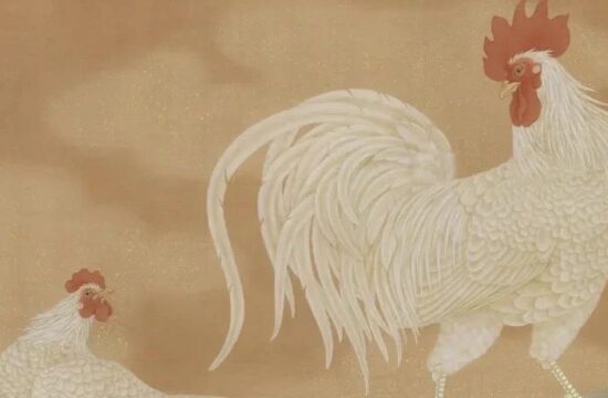 ​薛俊华 ║ 乐彼之园