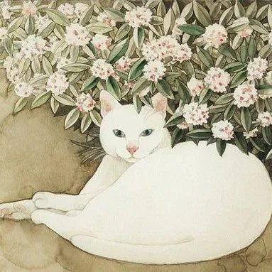 东京插画师山田绿的猫咪插画