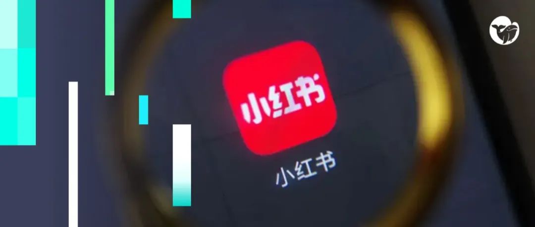 抖音Vs小红书，私域流量构建是品牌增长的解药吗？