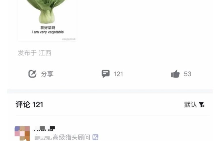 迷惑：上班刷boss直聘被发现了咋办？我又学废了