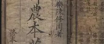 国画与茶，刻在骨子里的文雅
