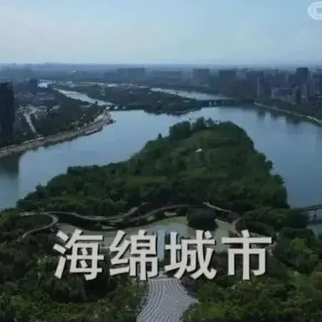 中国这十年--海绵城市 ｜央视报道「完整视频」