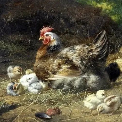 比利时艺术家EUGENE REMY MAES油画绘画作品欣赏