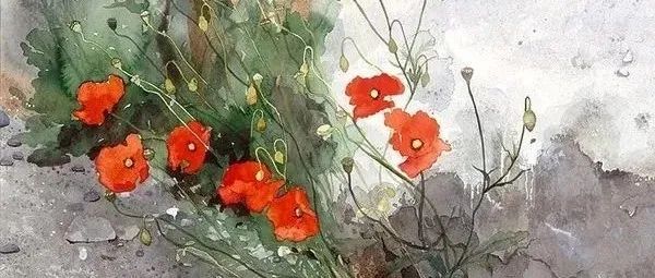 ​英国水彩画家Annelies Clarke绘画作品欣赏