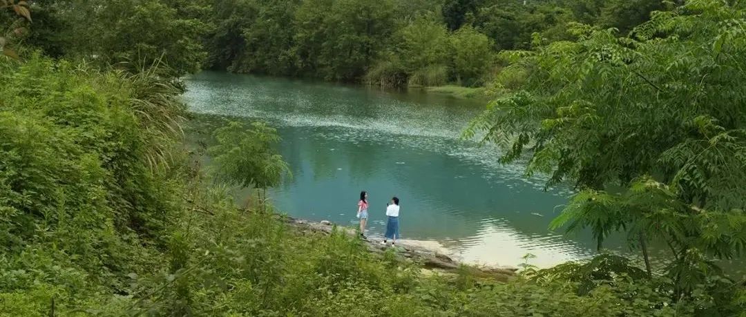 倪海云  ：清江未远