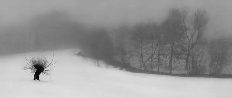 冬天的雪