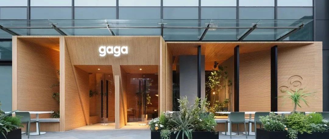 深圳 gaga 鲜语 — 城市绿洲 生长不息｜UND设计事务所