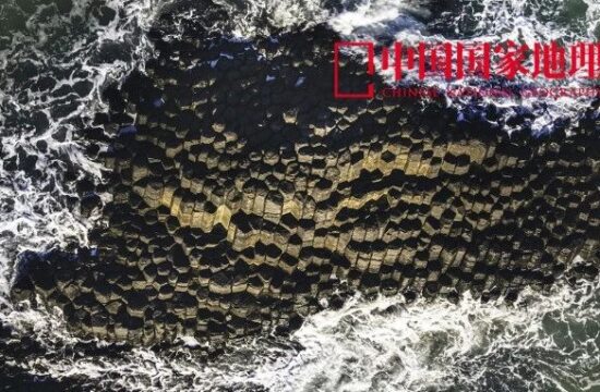 离谱！中国竟然有这么多壮观的「大薯条」？