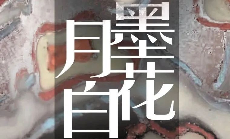 还手四季拍 | 冬季大拍——墨花月白「书画篇」