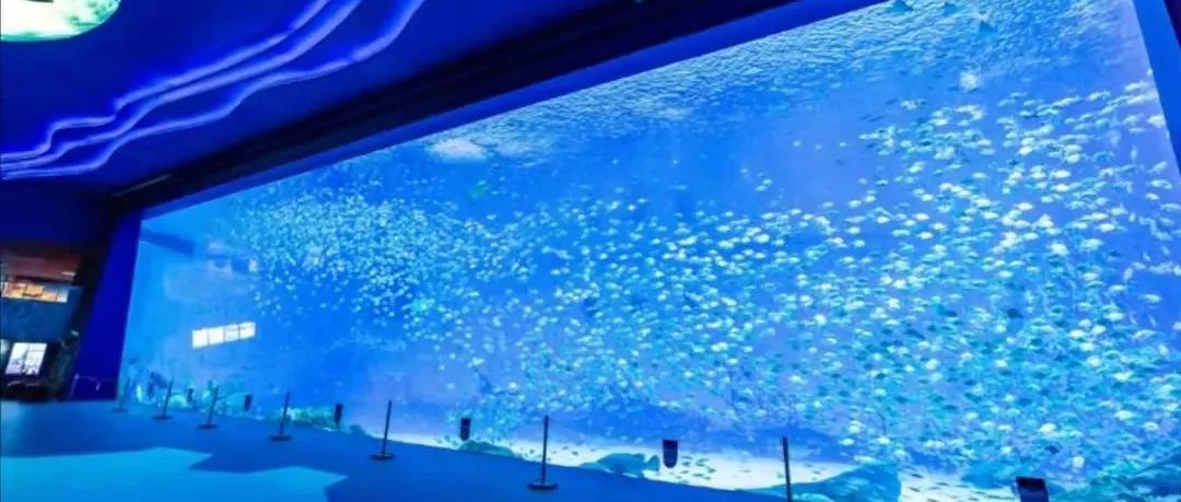 2亿投资室内游乐，海昌海洋公园轻资产“提速”