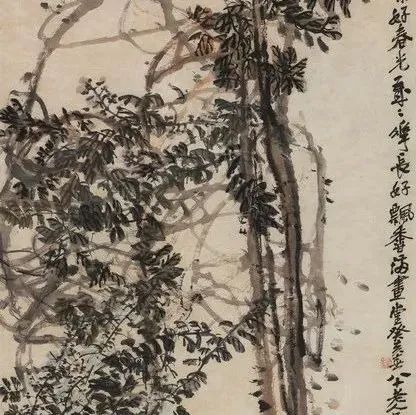 吴冠南：吴昌硕石头与藤萝画得最好