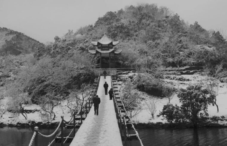 海波：不管南方北方，我们的命运是一样的