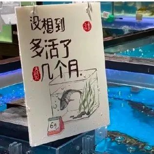 迷惑：超市文案突然就高级起来了