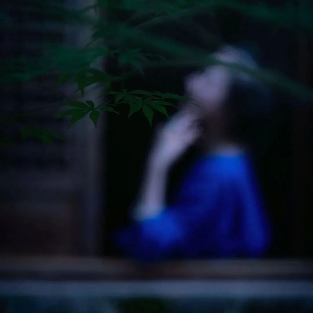 风雅，随风而去