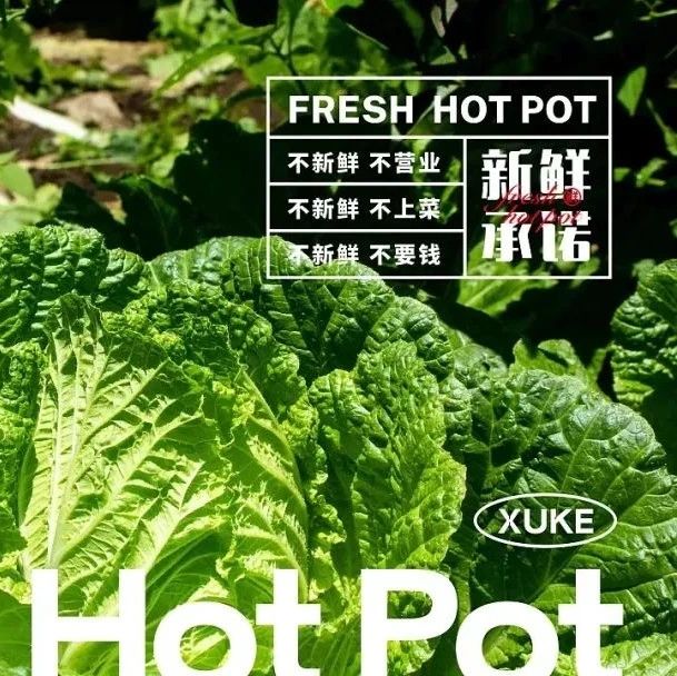 「徐科」火锅品牌设计 | 火锅就要吃新鲜！