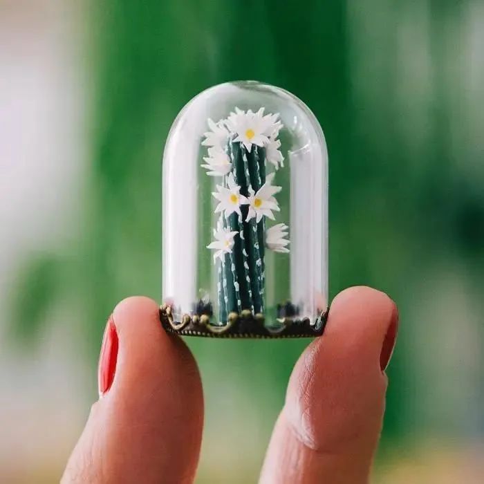 她“种”的盆栽太可爱，植物还没有手指头大，让人一眼爱上