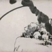 艺术星球 | 气韵、画品、纸绢、笔墨等的鉴赏