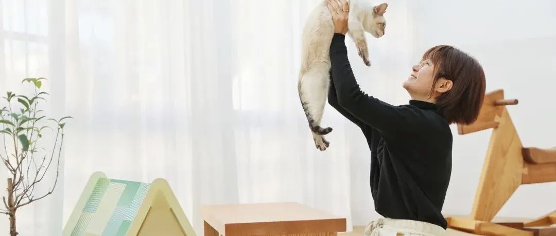 抱猫创作 | 燕子:我选择做创可贴