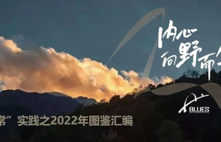 “他时他地” l 内心向野而生——蓝调《非“常”实践之2022年图鉴汇编》