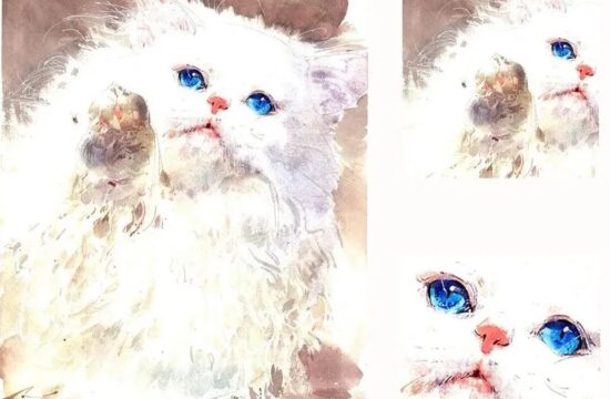水彩萌宠的画法