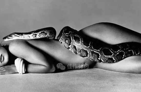 名人名作--Richard Avedon