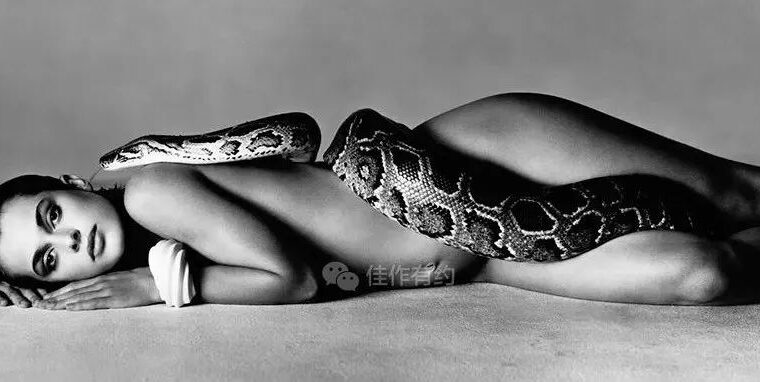 名人名作--Richard Avedon