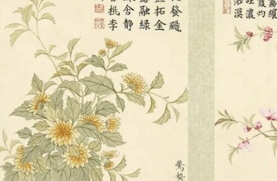 董诰 《二十四番花信风图》雅赏