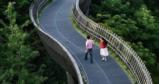 2023年《时间的朋友》跨年演讲最感人的故事：一条绿道连通42座公园，春风十里，就在身边
